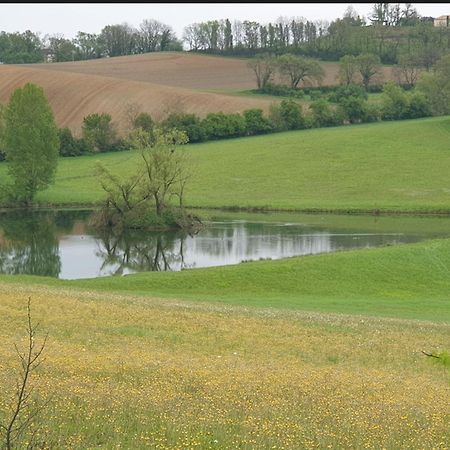 Seuls En Pleine Nature - Gite La Cote Blanche Puygaillard-de-Quercy Exteriör bild