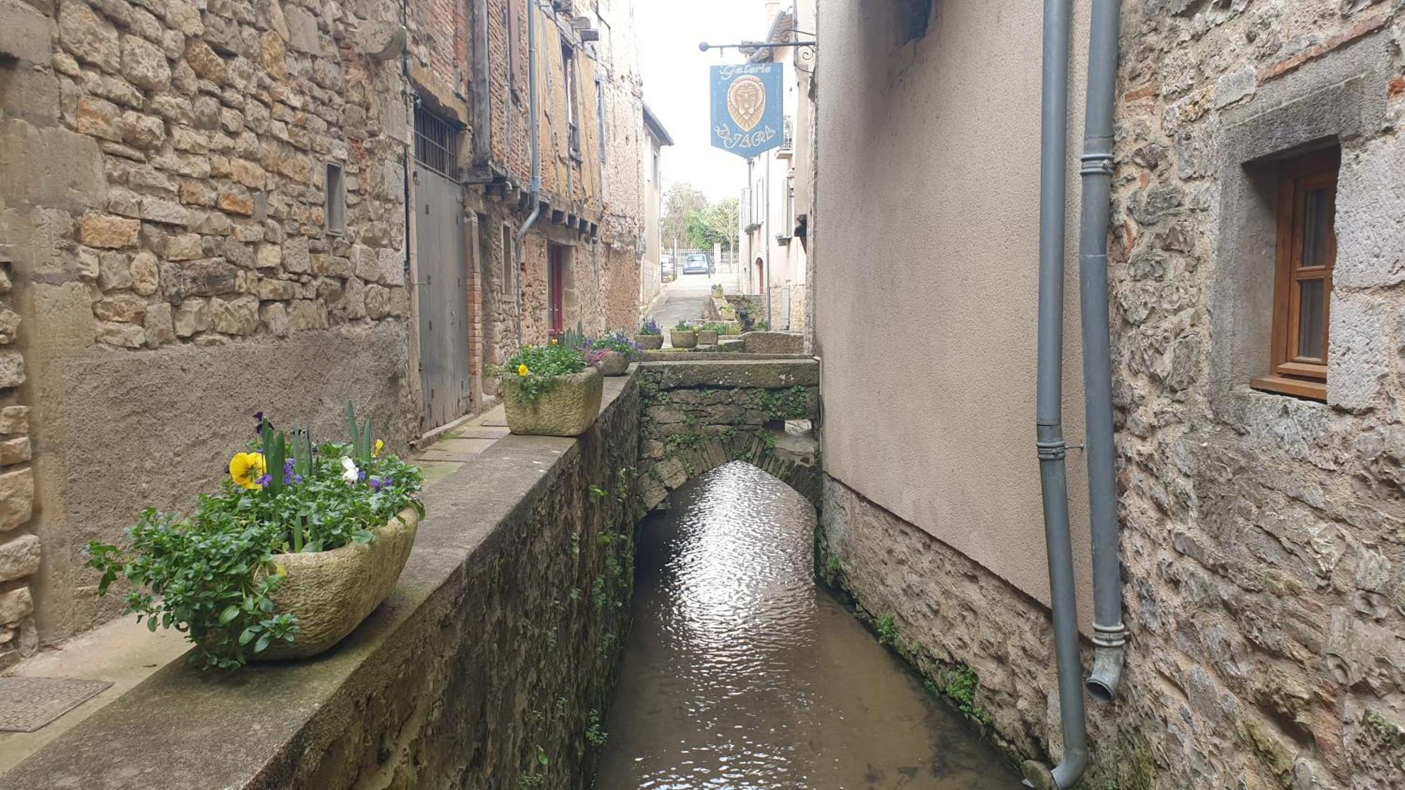 Seuls En Pleine Nature - Gite La Cote Blanche Puygaillard-de-Quercy Exteriör bild