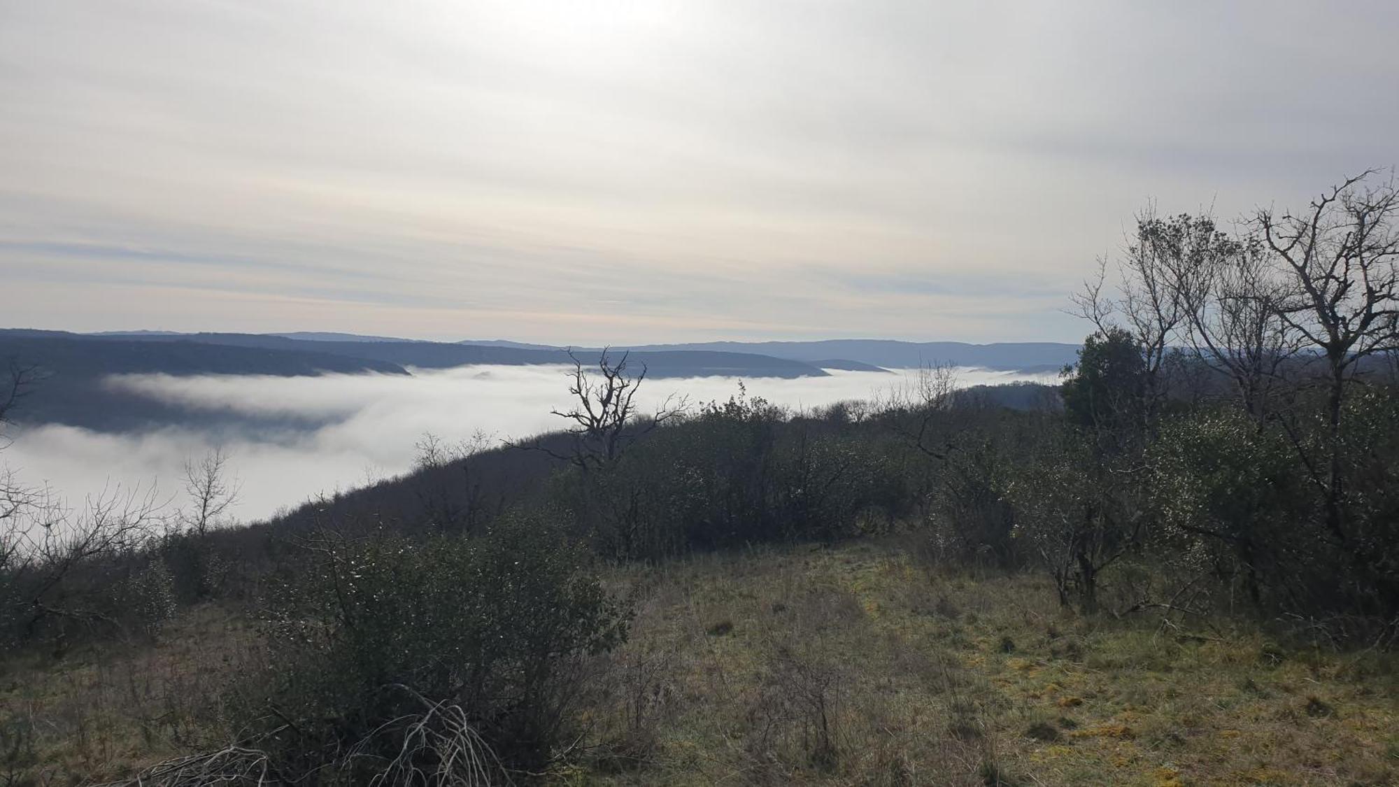 Seuls En Pleine Nature - Gite La Cote Blanche Puygaillard-de-Quercy Exteriör bild