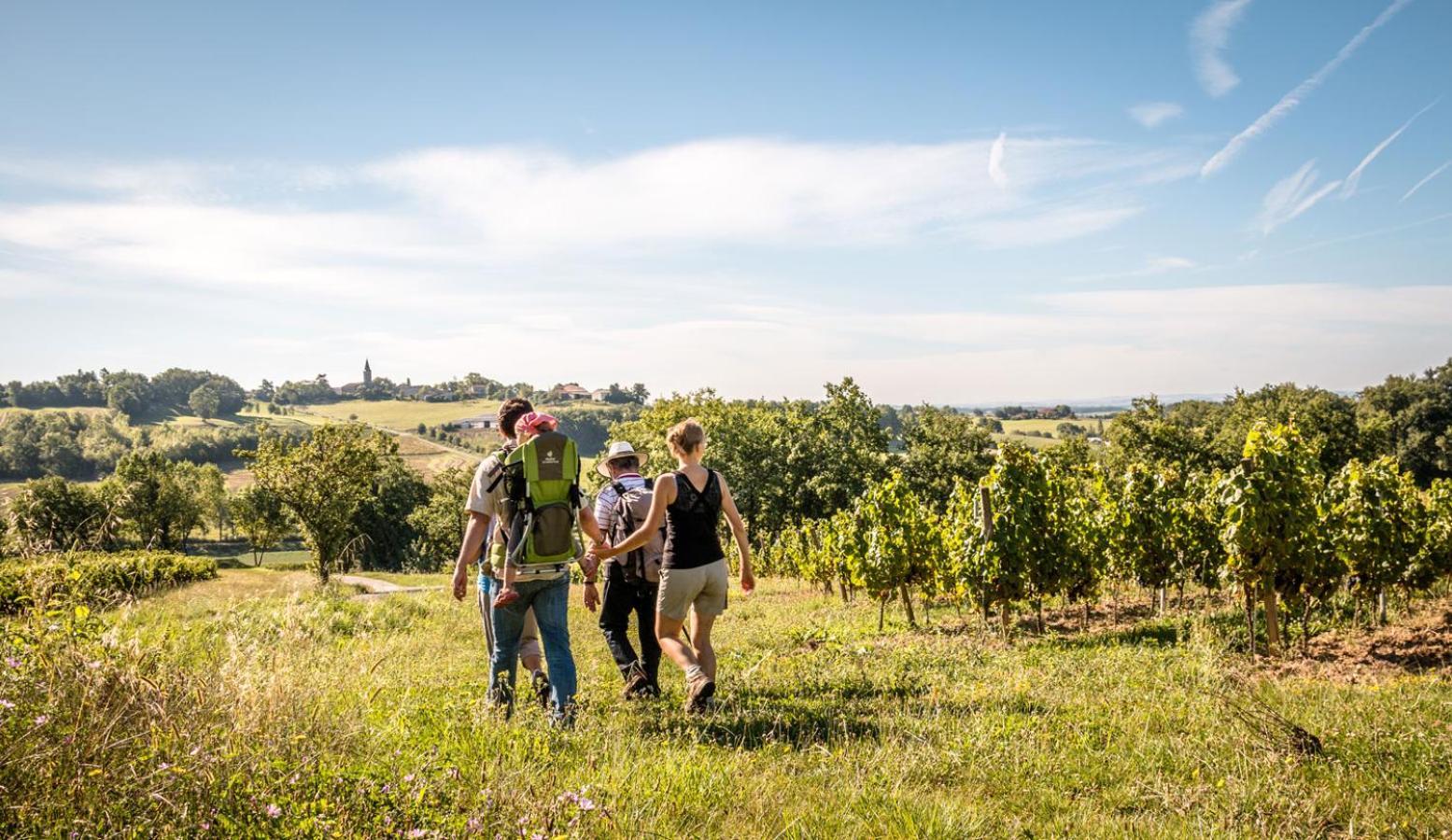Seuls En Pleine Nature - Gite La Cote Blanche Puygaillard-de-Quercy Exteriör bild