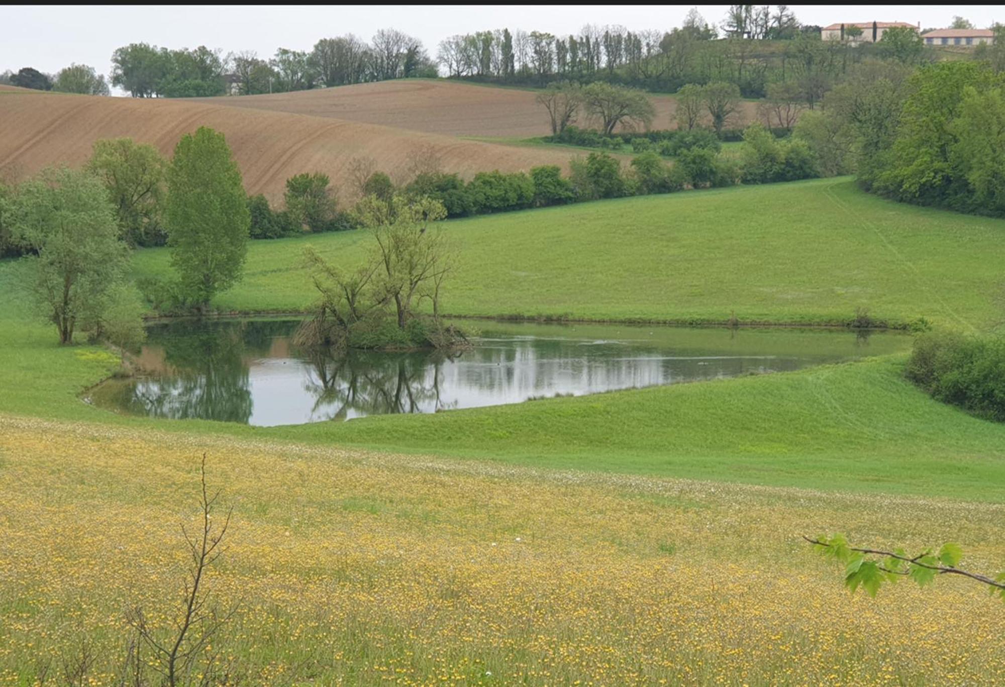 Seuls En Pleine Nature - Gite La Cote Blanche Puygaillard-de-Quercy Exteriör bild